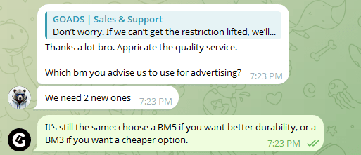 Telegram chat: GOADS support handling a restriction, the customer thanking them for the service, then asking which BM to use next — answered with a straight recommendation of BM5 for durability or BM3 for a cheaper option.